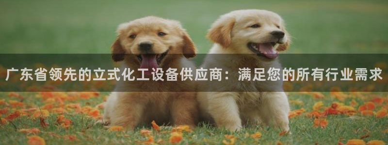 新航娱乐的最新版本更新内容